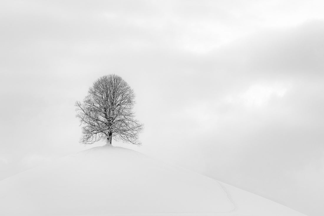 Image by Susanne Stöckli from Pixabay